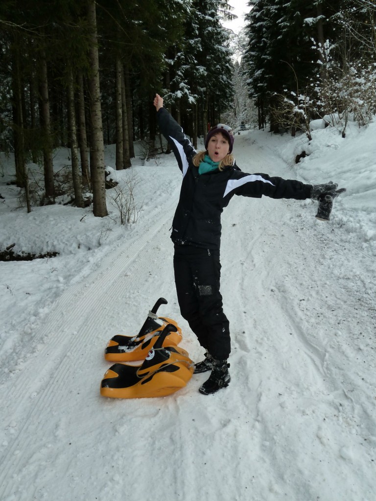 Sledding down the German Alps Living in Stuttgart
