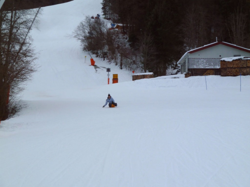 Sledding down the German Alps Living in Stuttgart