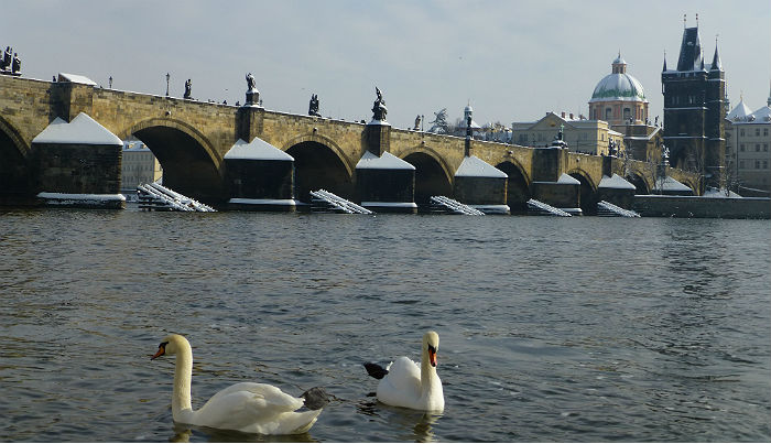 View from Kampa over to Charles Bridge