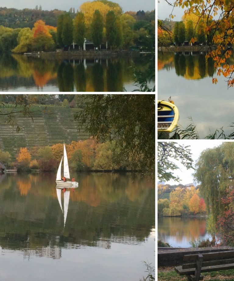 What to do on a sunny fall day in Stuttgart - Living in Stuttgart
