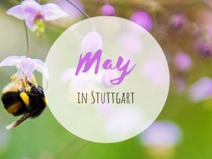 May in Stuttgart