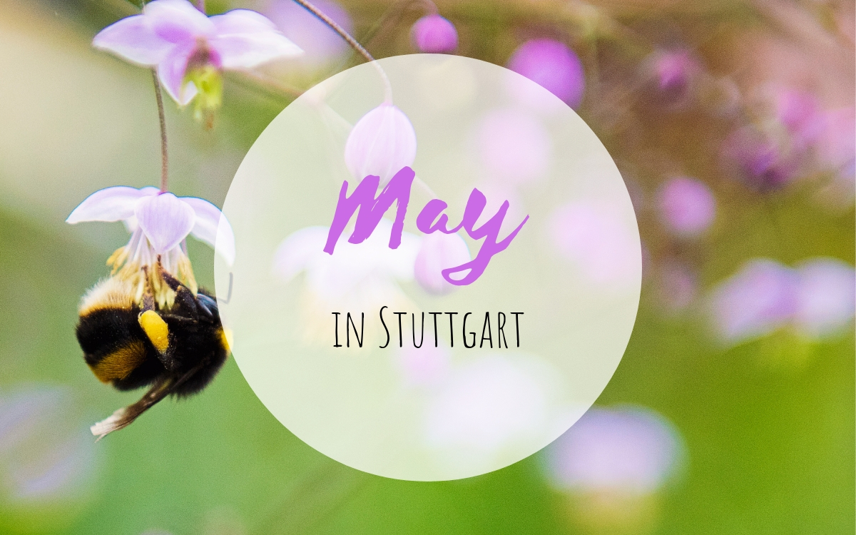 May in Stuttgart